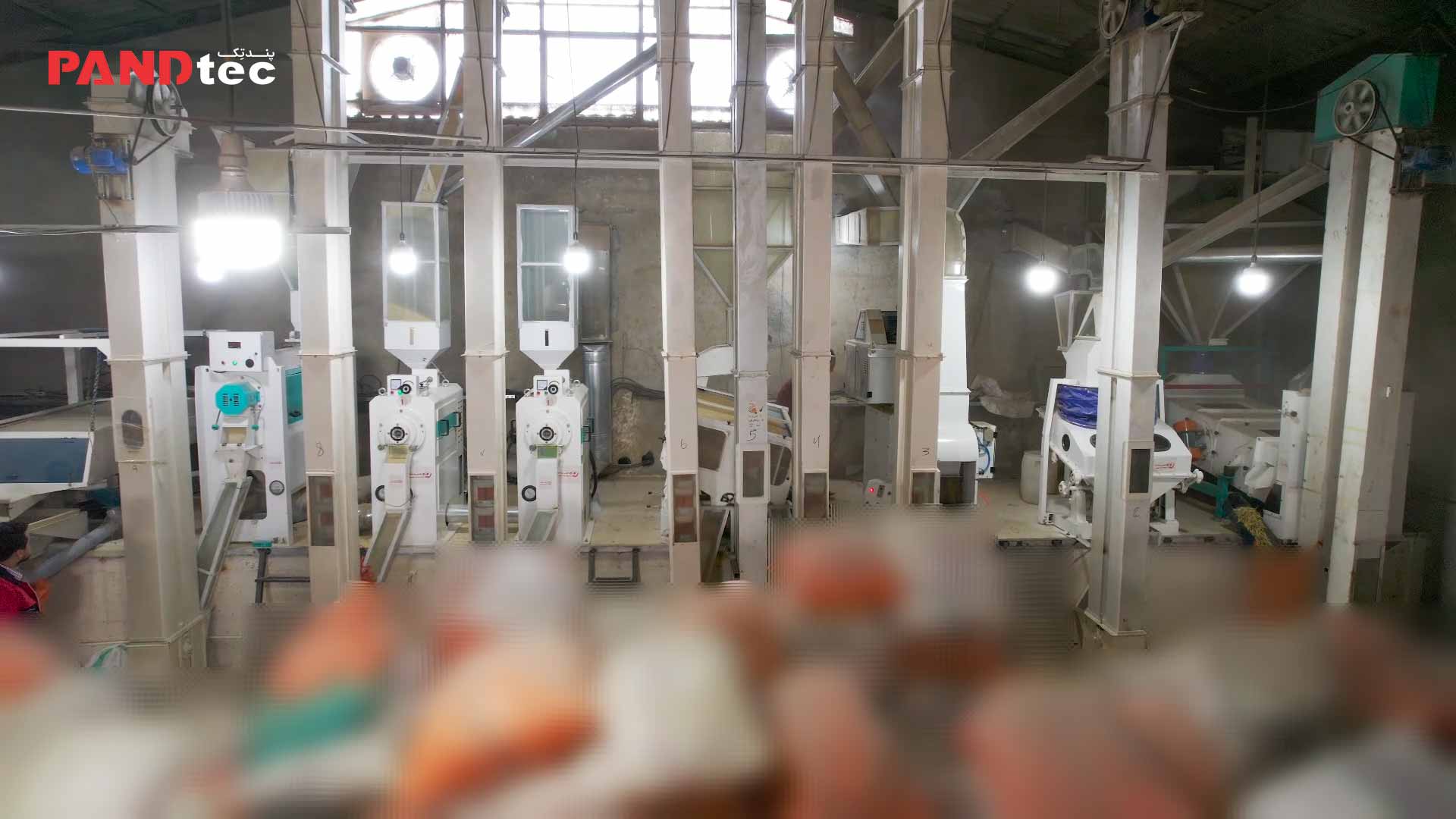 خط شالیکوبی مدرن پندتک